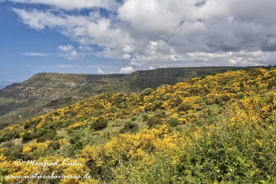 Sardinien (Italien)_0340