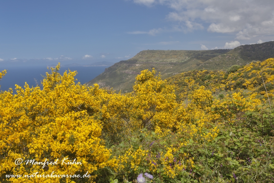 Sardinien (Italien)_0342