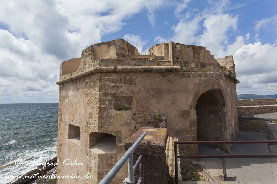 Sardinien (Italien)_0407
