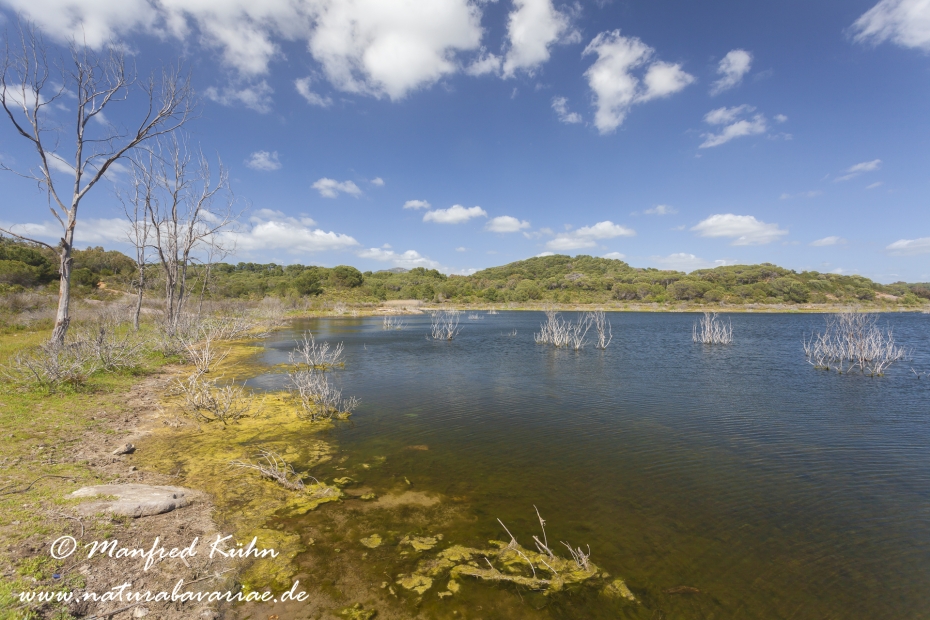 Sardinien (Italien)_0485