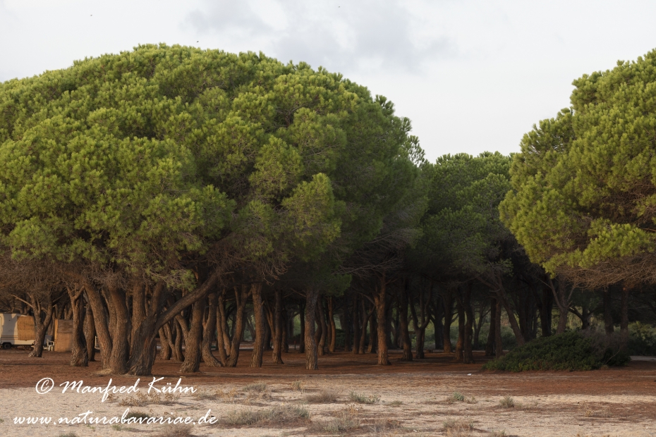 Sardinien (Italien)_0676