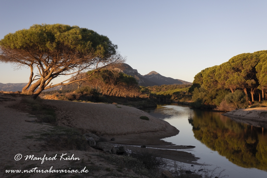 Sardinien (Italien)_0689