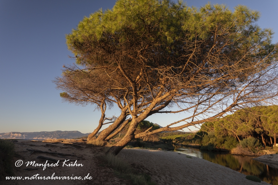 Sardinien (Italien)_0690
