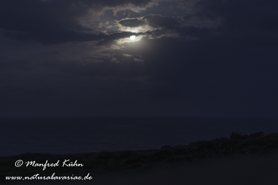 Sardinien (Italien)_0835