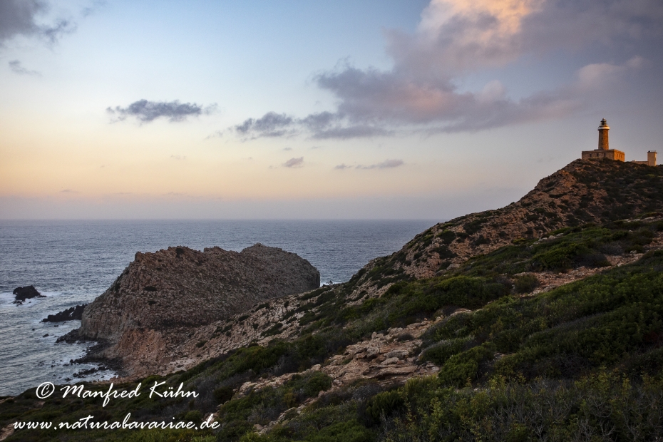 Sardinien (Italien)_0851