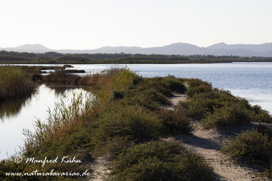 Sardinien (Italien)_0879