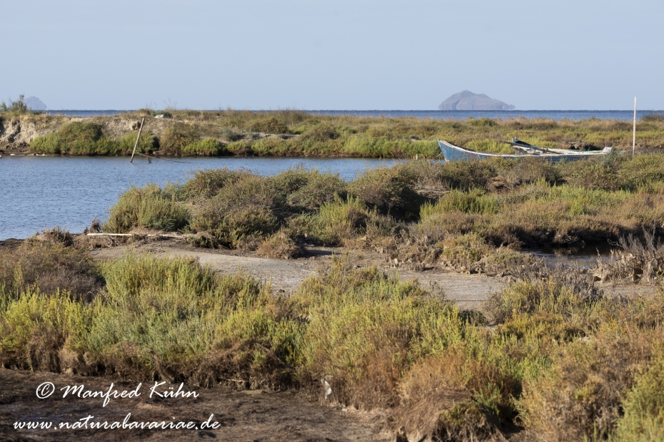 Sardinien (Italien)_0881