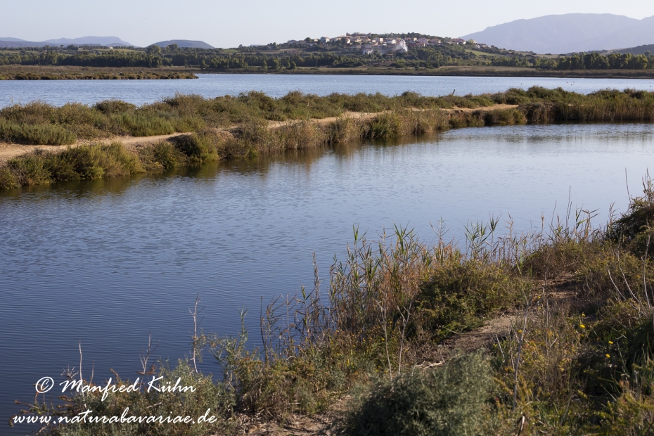 Sardinien (Italien)_0883
