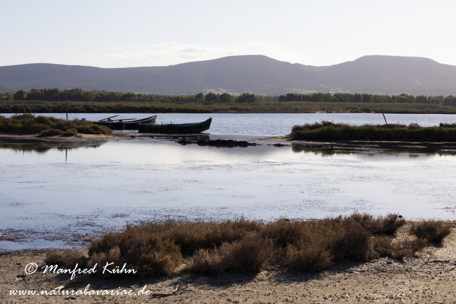 Sardinien (Italien)_0889