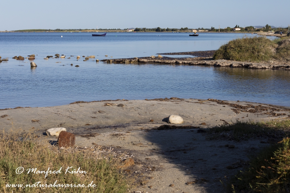 Sardinien (Italien)_0890