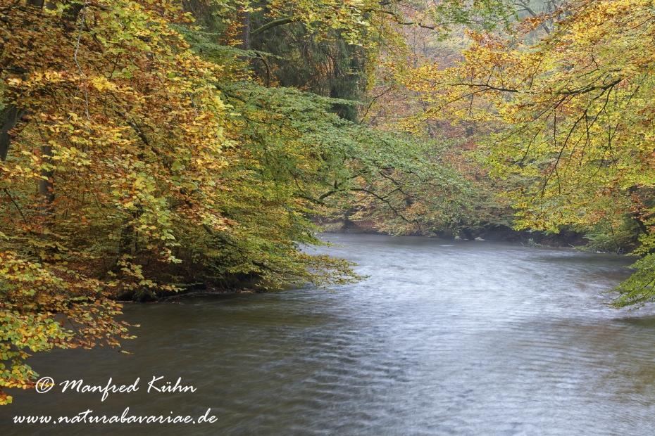 Herbst (am Wasser)_0005