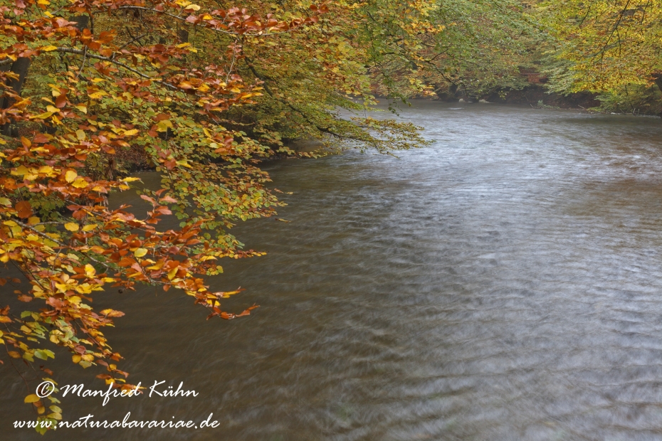 Herbst (am Wasser)_0006