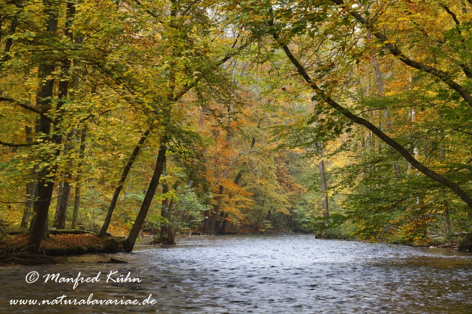 Herbst (am Wasser)_0022
