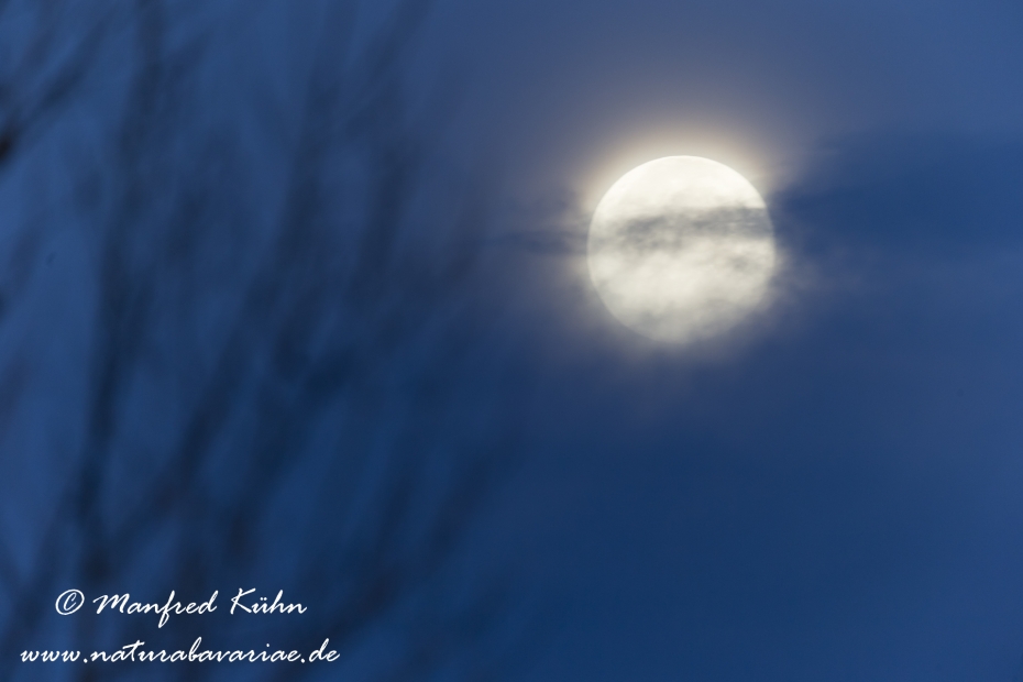 Vollmond ()_0001
