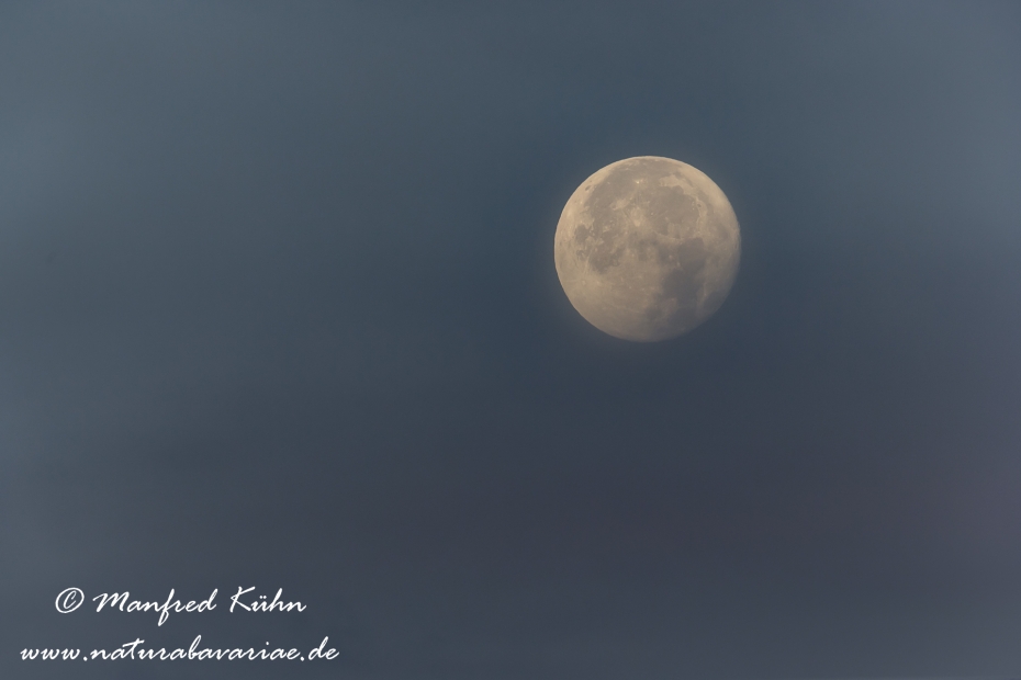 Vollmond ()_0006
