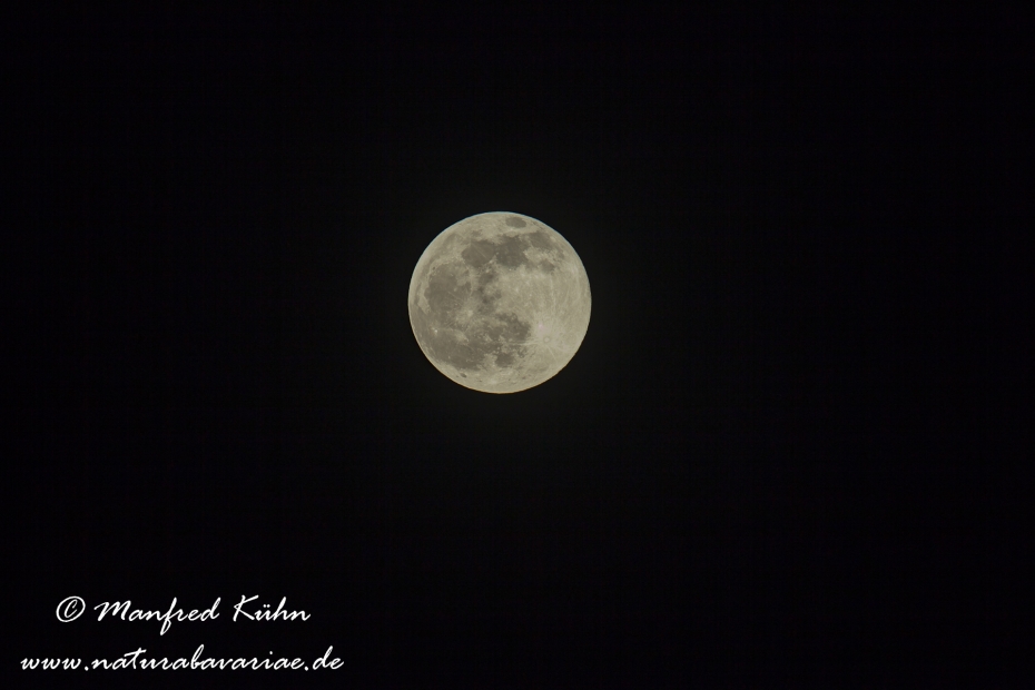 Vollmond ()_0015