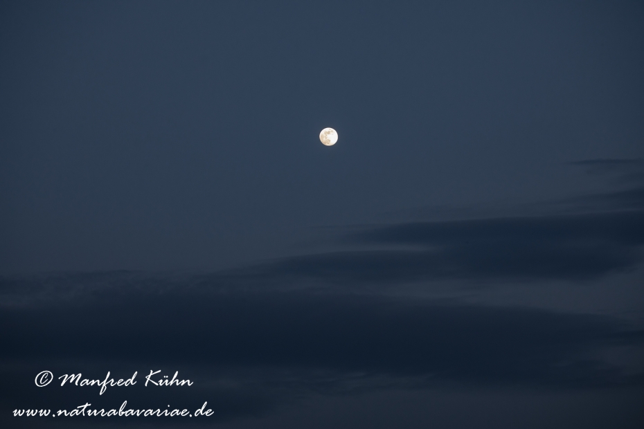 Vollmond ()_0017