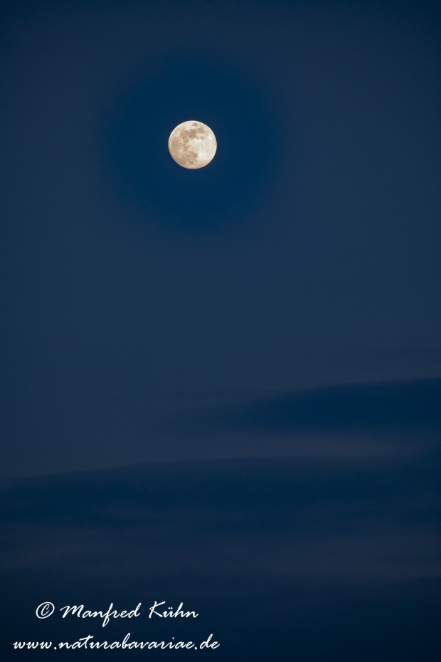 Vollmond ()_0018