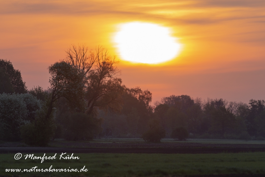 Sonnenaufgang ()_0001