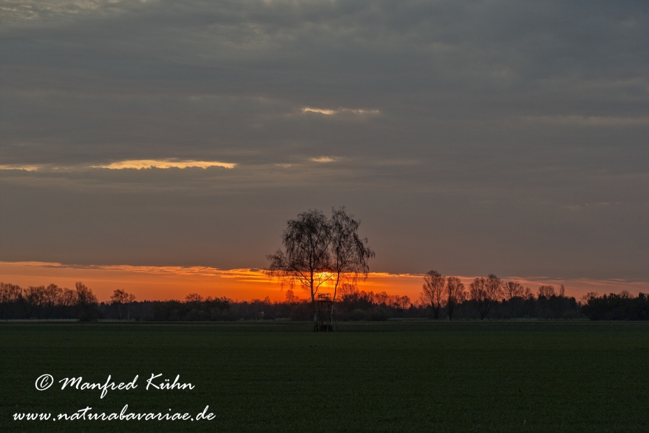 Sonnenaufgang ()_0011