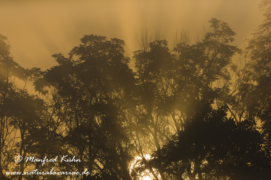 Sonnenaufgang ()_0017