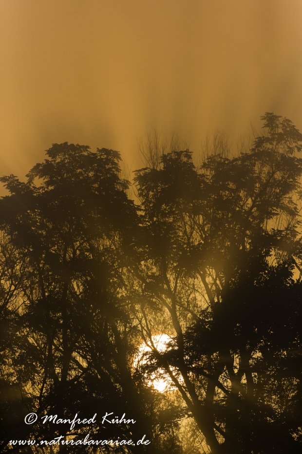 Sonnenaufgang ()_0018