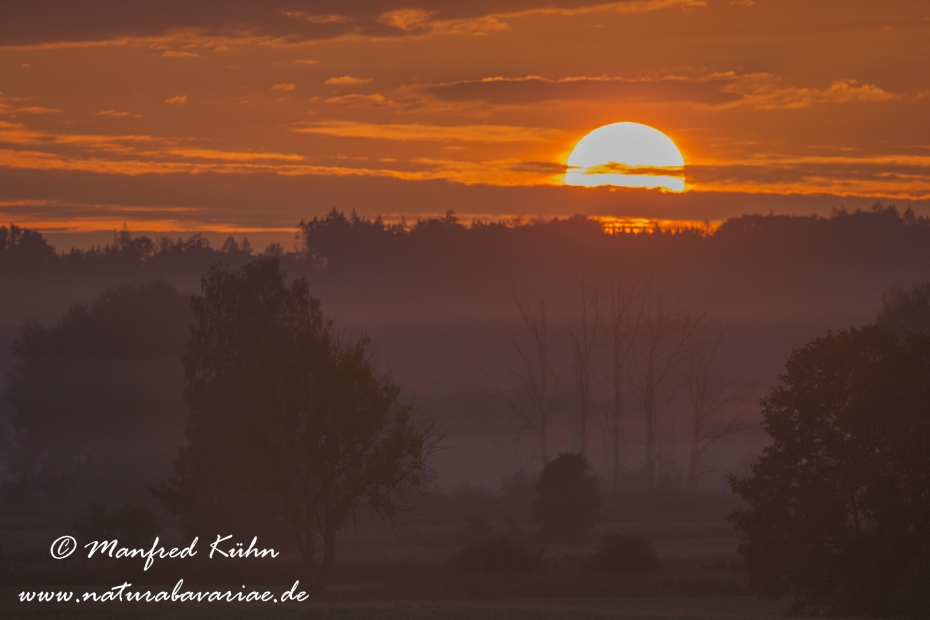 Sonnenaufgang ()_0036
