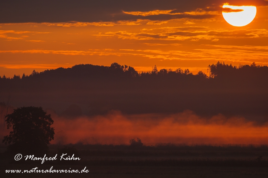 Sonnenaufgang ()_0041