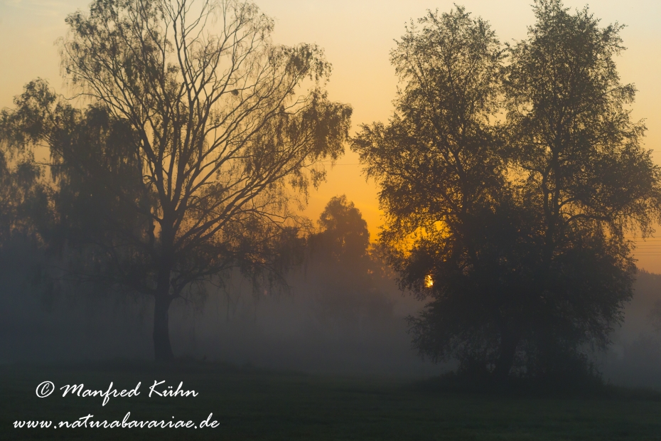 Sonnenaufgang ()_0068