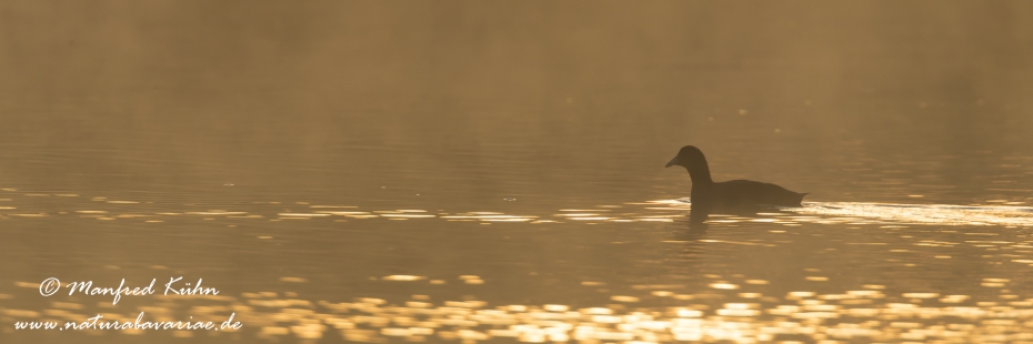 Sonnenaufgang ()_0076