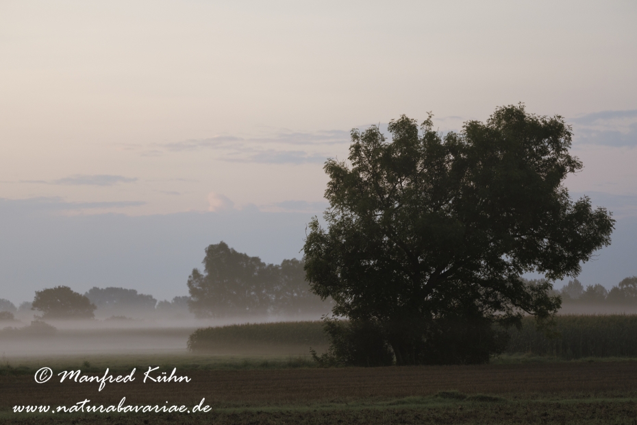Sonnenaufgang ()_0079
