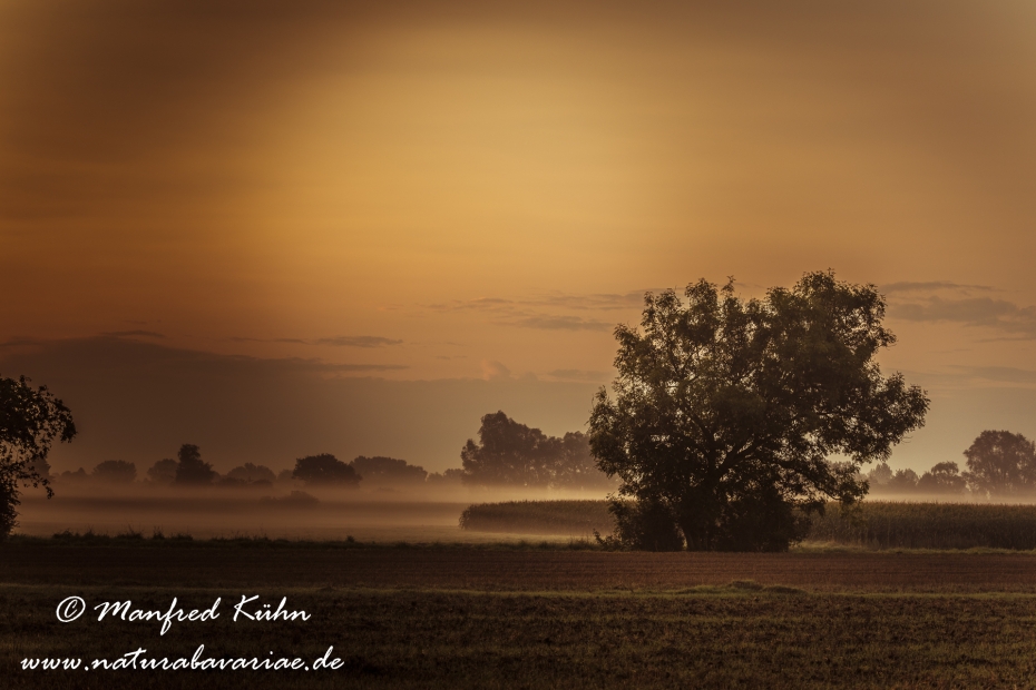 Sonnenaufgang ()_0080