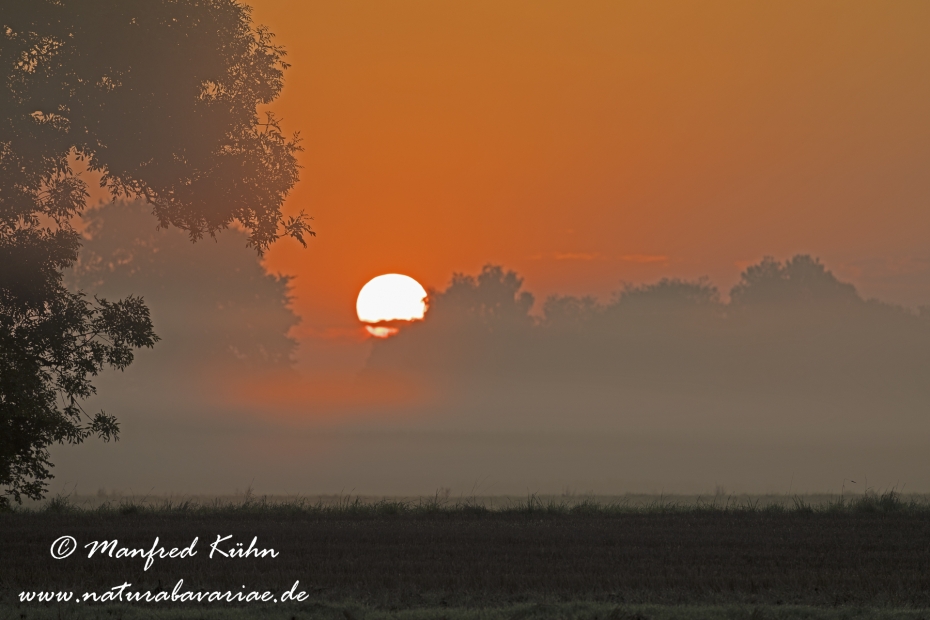 Sonnenaufgang ()_0088