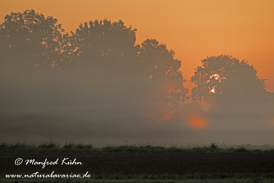 Sonnenaufgang ()_0092