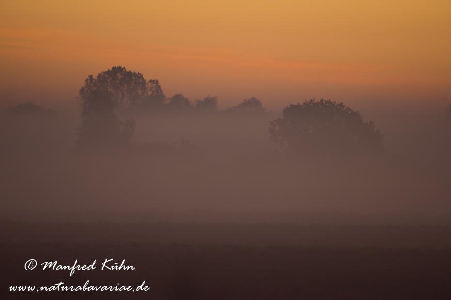 Sonnenaufgang ()_0107