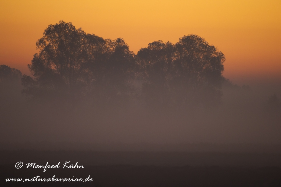 Sonnenaufgang ()_0109
