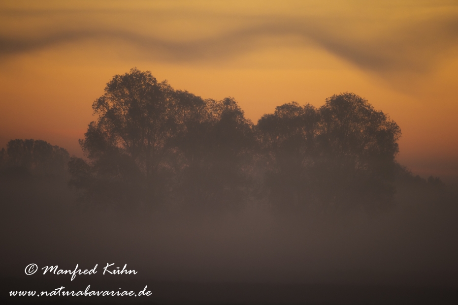 Sonnenaufgang ()_0112