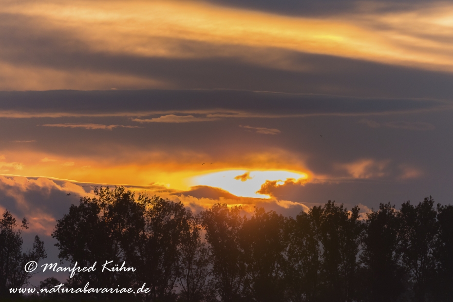 Wolken ()_0003