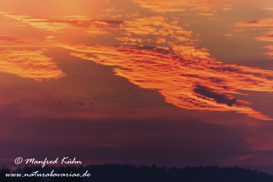 Wolken ()_0005