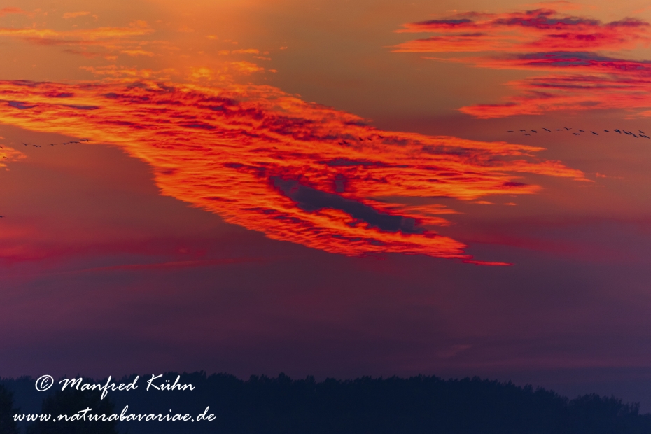 Wolken ()_0006
