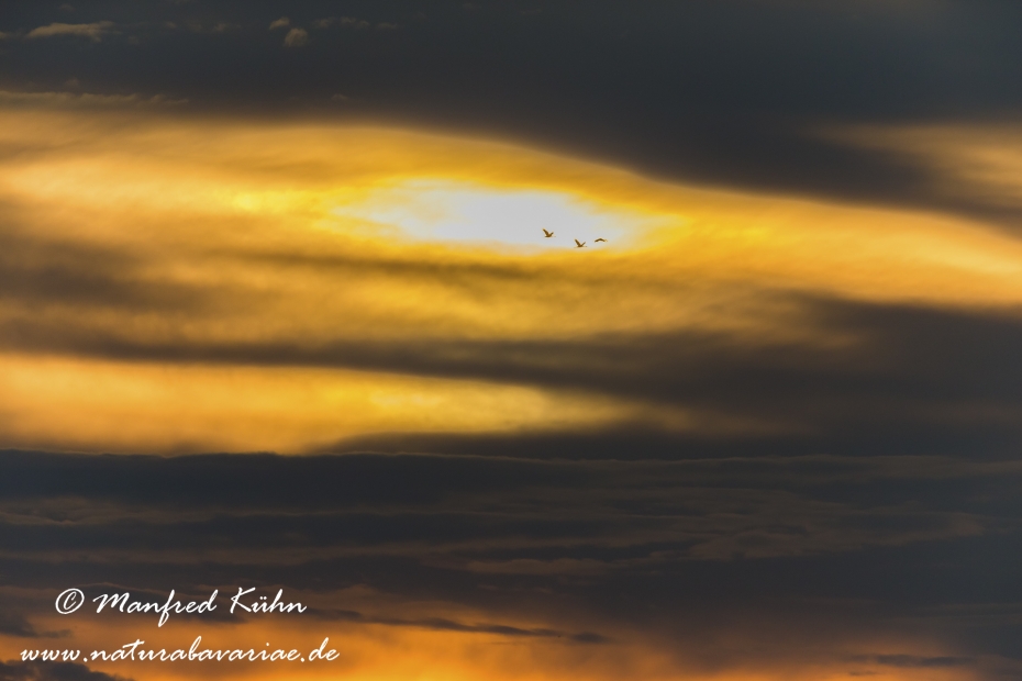 Wolken ()_0008