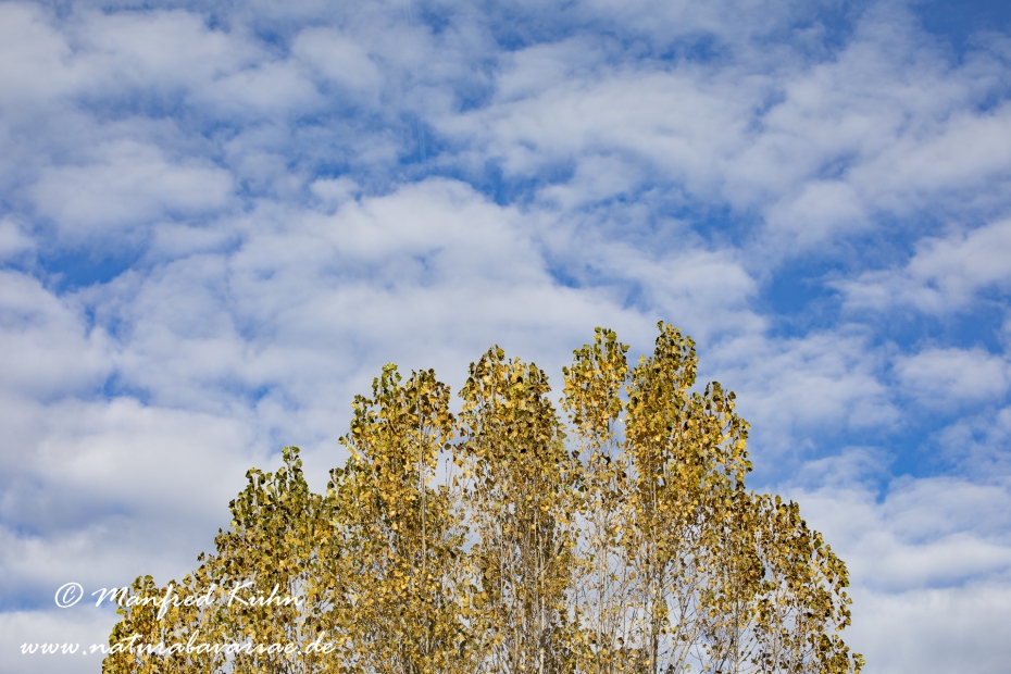 Wolken ()_0022