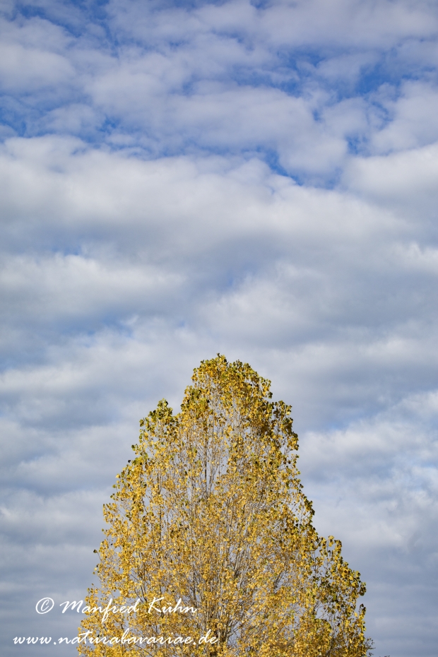 Wolken ()_0023