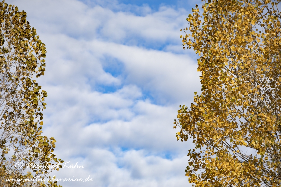 Wolken ()_0025