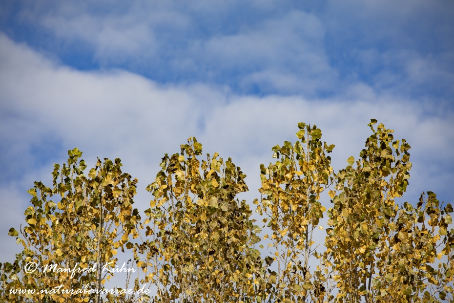 Wolken ()_0026
