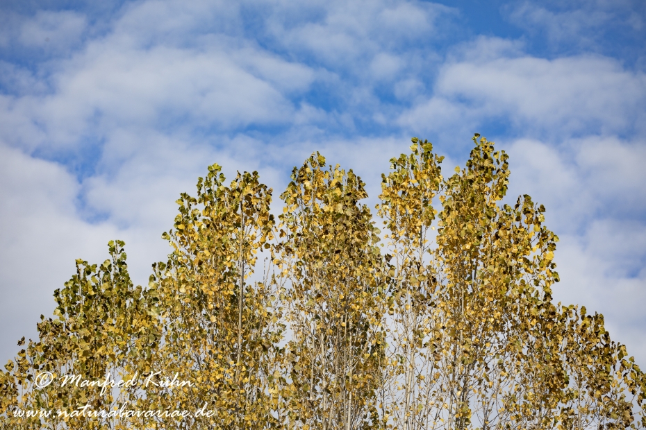 Wolken ()_0027