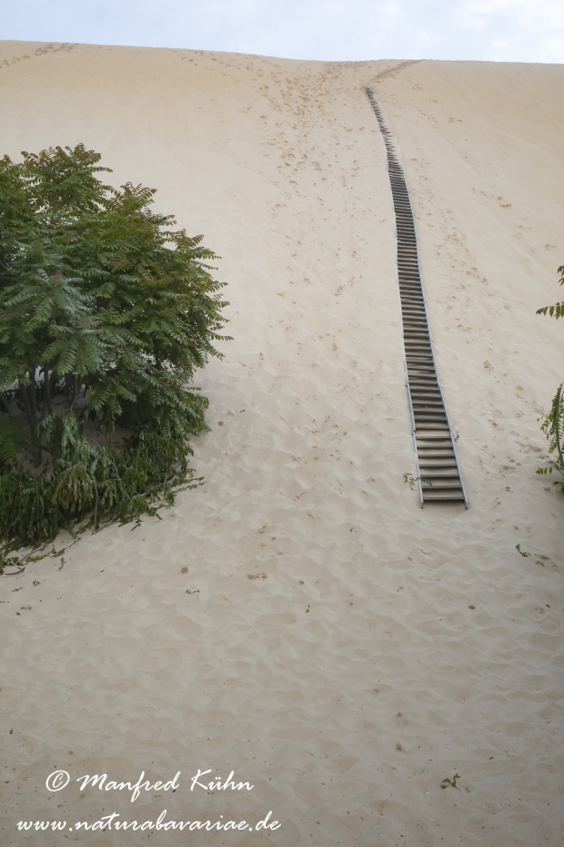Dune du Pilat (Frankreich)_0009
