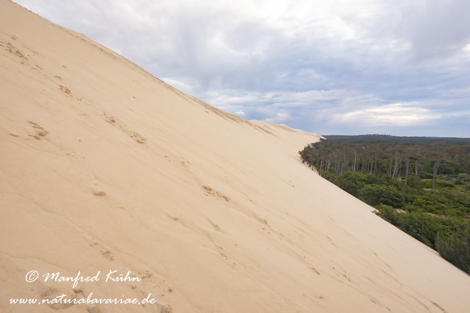 Dune du Pilat (Frankreich)_0012