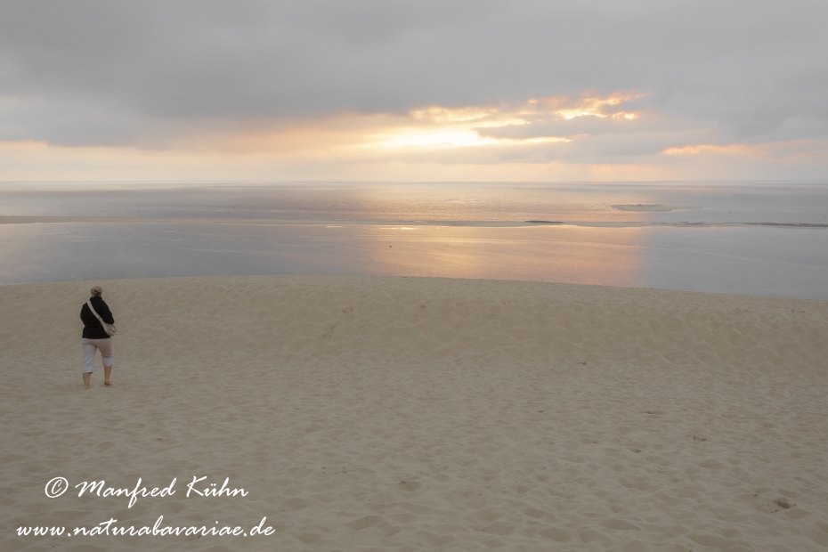 Dune du Pilat (Frankreich)_0029