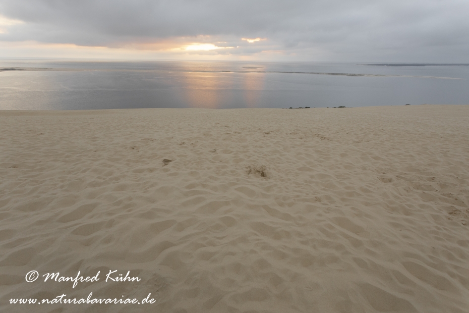 Dune du Pilat (Frankreich)_0033